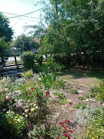 Gyomaendrőd 3. képe