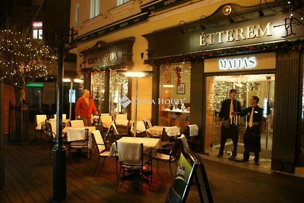 Hunyadi, Győr 2. képe