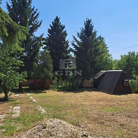 Ágnes, Balatonkenese képe