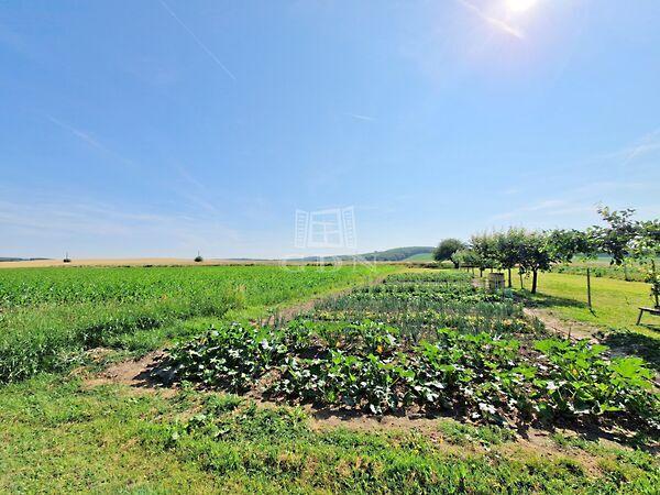 Természetközeli, Alsórajk 2. képe