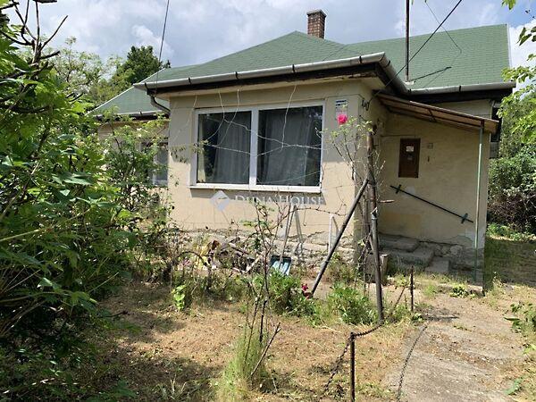 Narancsfa, Érd képe