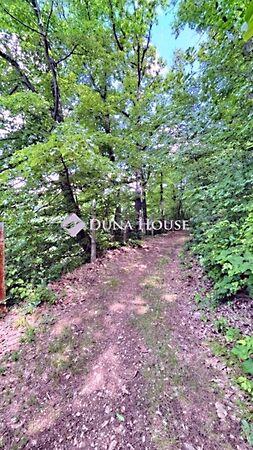 Erdész, Pécs 2. képe