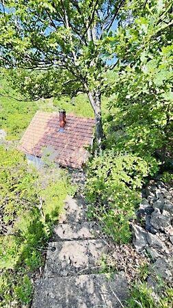 Erdész, Pécs 3. képe