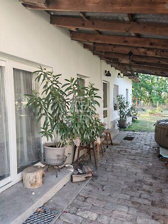 Kistelek- Kitűnő helyen, Kistelek képe