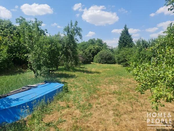 Hódmezővásárhely képe