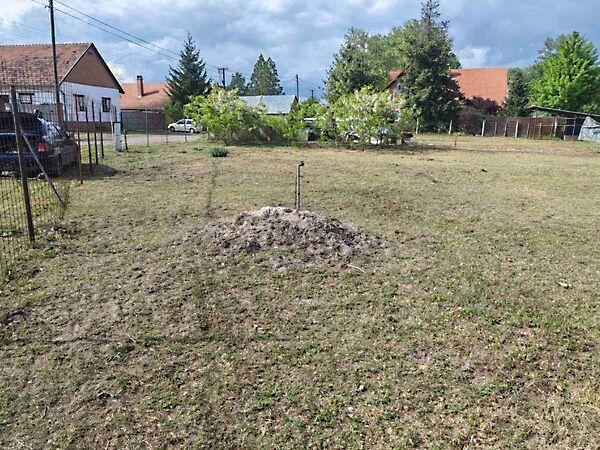 Zrínyi, Sándorfalva 2. képe