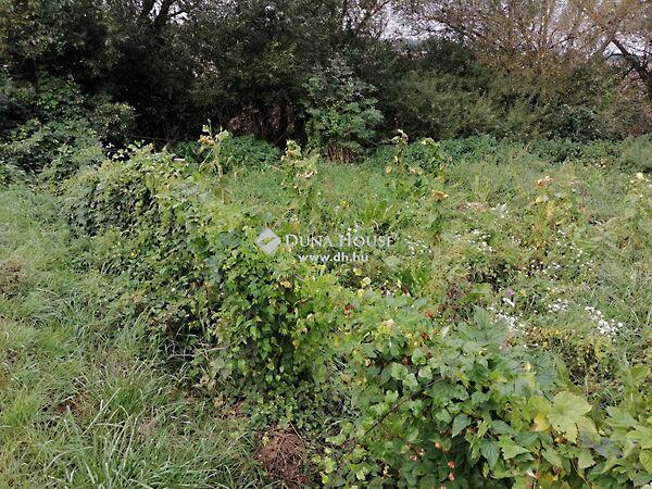 Árpád, Bicske képe