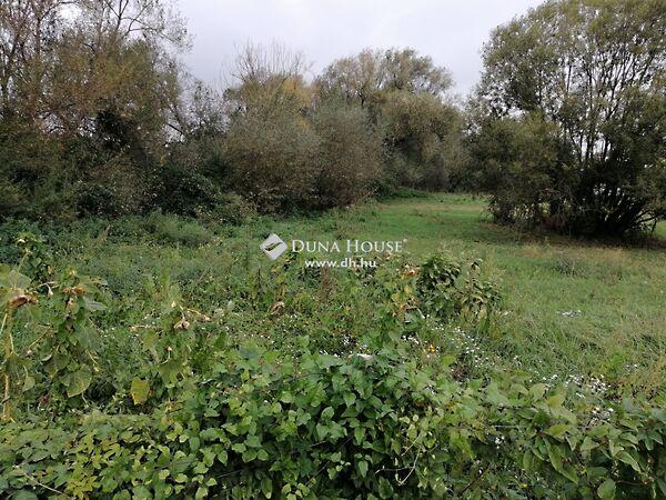 Árpád, Bicske 3. képe