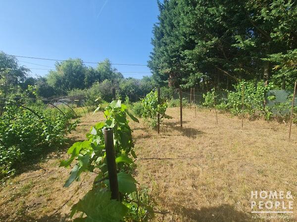 Hódmezővásárhely képe