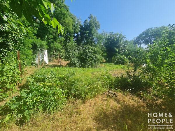 Hódmezővásárhely 3. képe