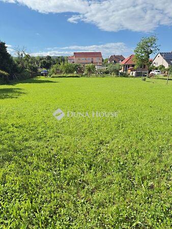 Gesztenyés, Pécs képe