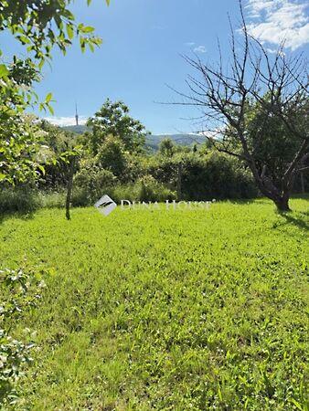 Gesztenyés, Pécs 2. képe