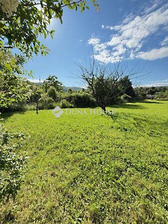 Gesztenyés, Pécs 3. képe