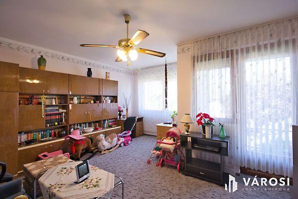 Hódmezővásárhely 2. képe