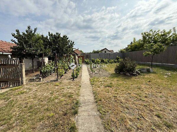 Tiszaalpár 3. képe