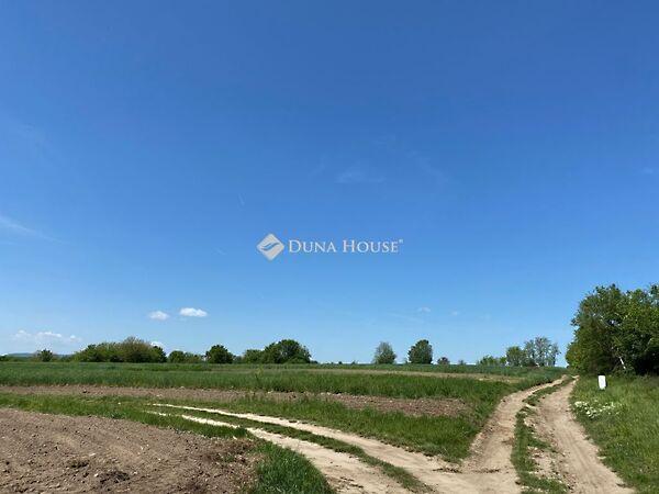 Alcsútdoboz 3. képe