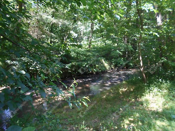 Kossuth, Hegyhátszentjakab 2. képe