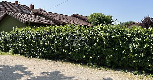 családiház,, Velence 3. képe