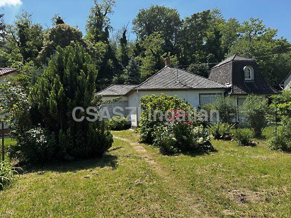 Nefelejcs, Balatonberény 3. képe