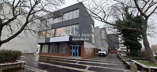 Szigeti, Pécs képe