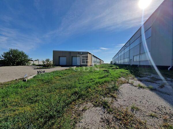 Kisapostag csarnok kedvező, Kisapostag képe