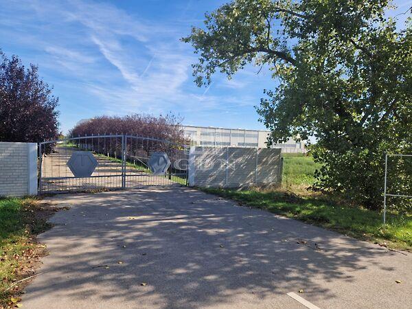 Kisapostag csarnok kedvező, Kisapostag 3. képe