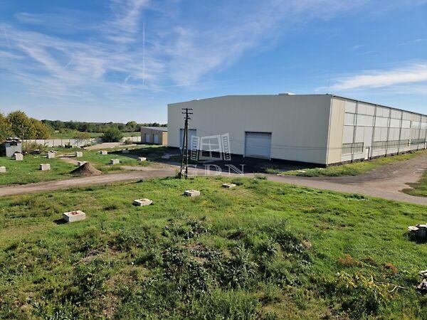 Kiadó ipari csarnok, Kisapostag képe