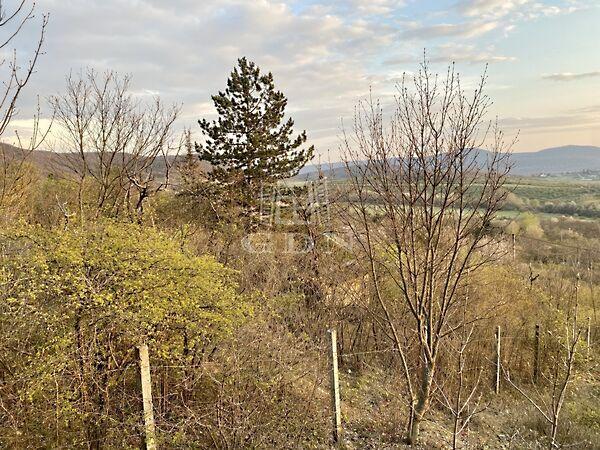 Tanya minősítést, Budapest, II. kerület 3. képe