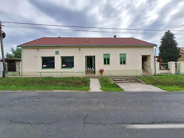 Petőfi Sándor, Csehi képe