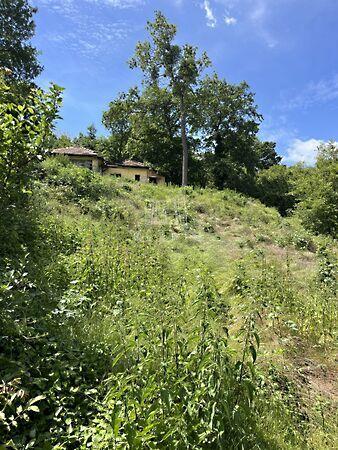 Szép Ilonka, Érd 3. képe