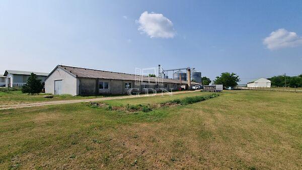 Vargahegyi, Pátka képe