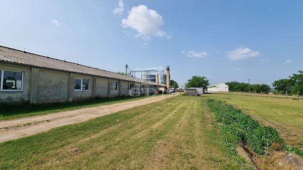 Vargahegyi, Pátka 3. képe