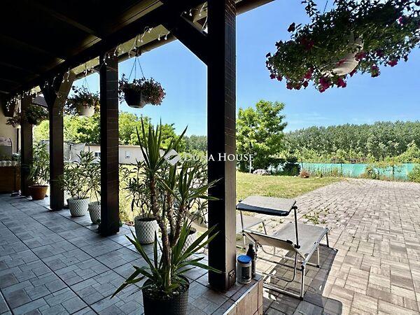 Tüskésréti, Pécs képe