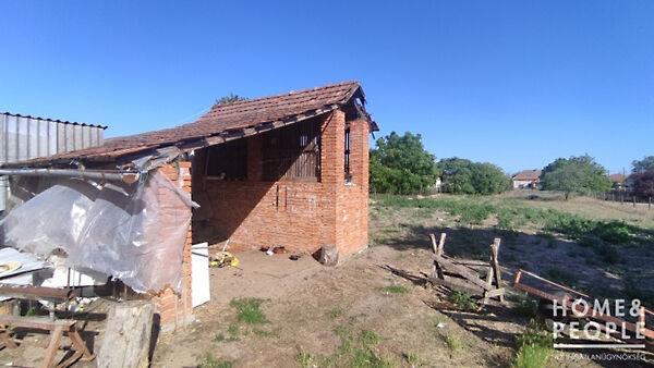 Zákányszék 3. képe