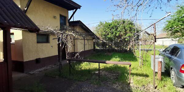 Újszőlő, Cibakháza képe