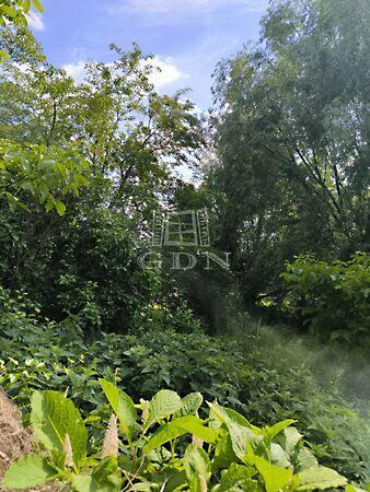 Vizes kertek, Dunakeszi képe