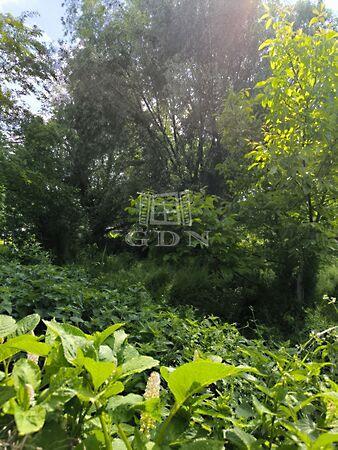 Vizes kertek, Dunakeszi 2. képe