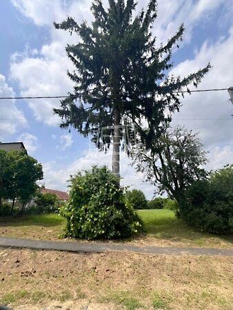 Pusztaszentlászló 2. képe