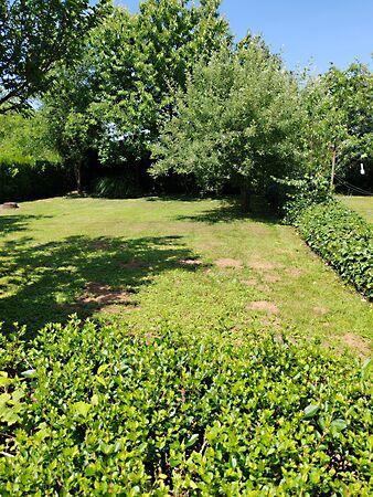 Zalaegerszeg 2. képe