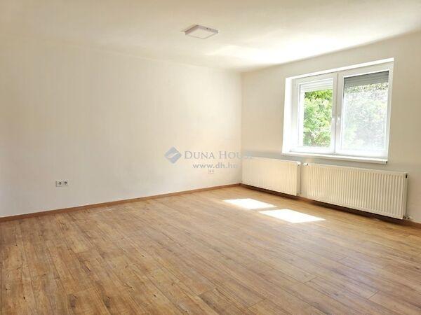 Hunyadi János, Pécs 2. képe