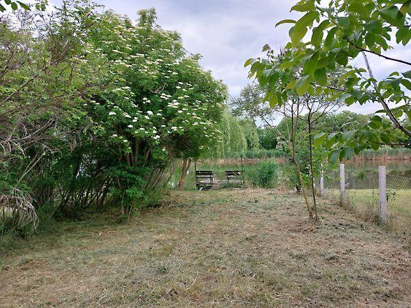 Békésszentandrás 3. képe