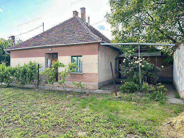 Bácsalmás 3. képe