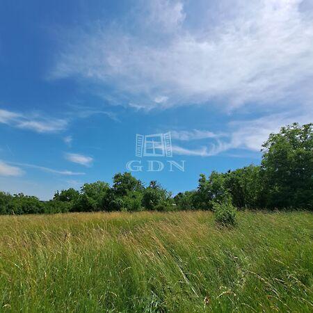 Part, Balatonkenese képe