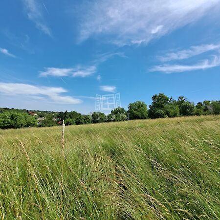 Part, Balatonkenese 3. képe