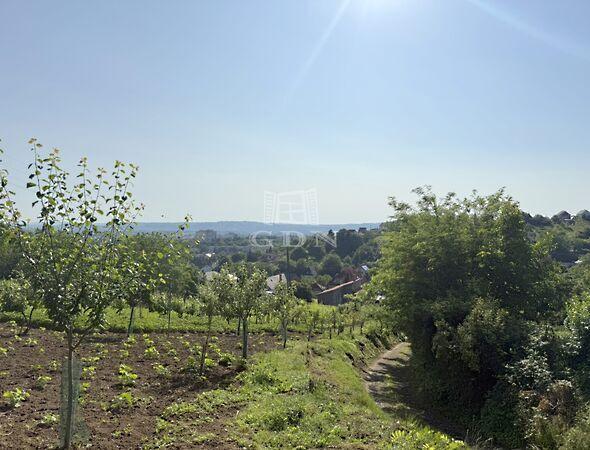 Hajnalcsillag, Zalaegerszeg 2. képe