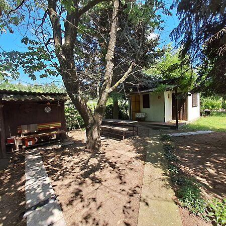 Judit Ingatlan és, Monor képe