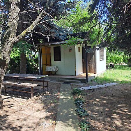 Judit Ingatlan és, Monor 2. képe