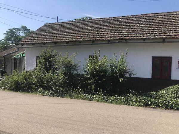 Kristó Nagy István, Szentes 2. képe