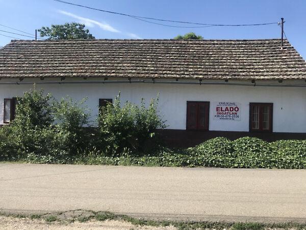 Kristó Nagy István, Szentes 3. képe