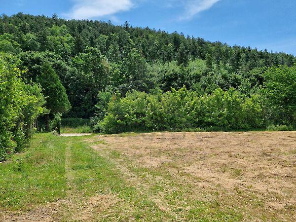 Cserszegtomaj 3. képe